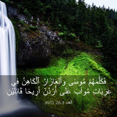 Picture 03 - اَلْعَدَد 26:3 AVD - فَكَلَّمَهُمْ مُوسَى - Bible Verse Picture