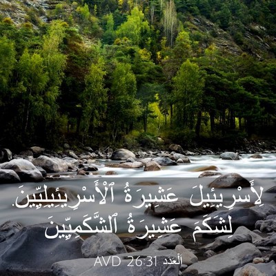 Picture 03 - اَلْعَدَد 26:31 AVD - لِأَسْرِيئِيلَ عَشِيرَةُ - Bible Verse Picture