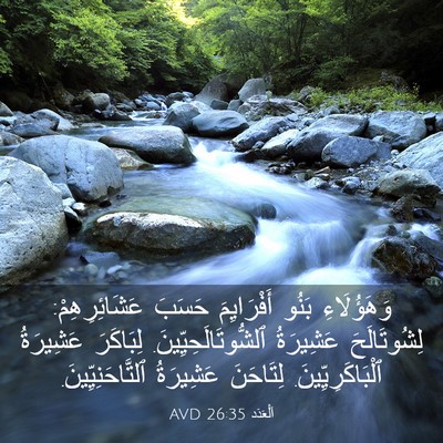 Picture 03 - اَلْعَدَد 26:35 AVD - وَهَؤُلَاءِ بَنُو - Bible Verse Picture