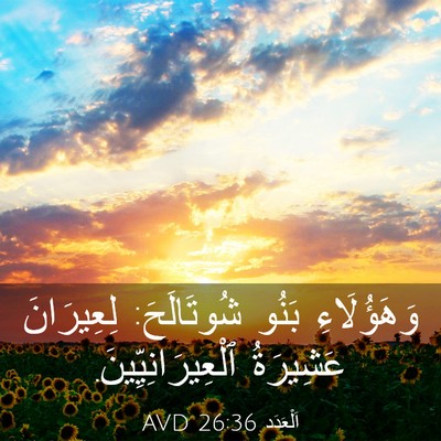 Picture 03 - اَلْعَدَد 26:36 AVD - وَهَؤُلَاءِ بَنُو - Bible Verse Picture
