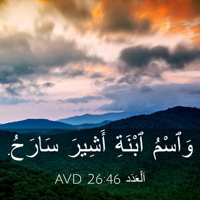 Picture 03 - اَلْعَدَد 26:46 AVD - وَٱسْمُ ٱبْنَةِ أَشِيرَ - Bible Verse Picture