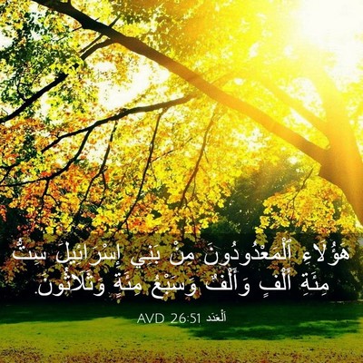 Picture 03 - اَلْعَدَد 26:51 AVD - هَؤُلَاءِ ٱلْمَعْدُودُونَ - Bible Verse Picture