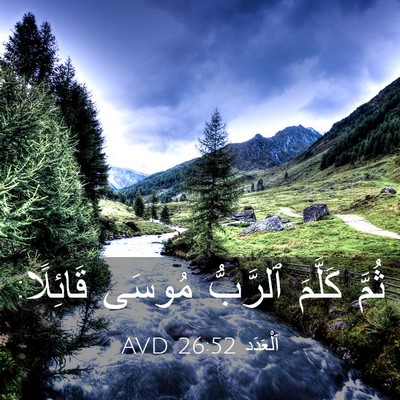 Picture 03 - اَلْعَدَد 26:52 AVD - ثُمَّ كَلَّمَ ٱلرَّبُّ - Bible Verse Picture