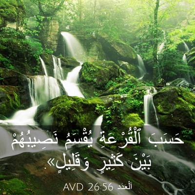 Picture 03 - اَلْعَدَد 26:56 AVD - حَسَبَ ٱلْقُرْعَةِ - Bible Verse Picture