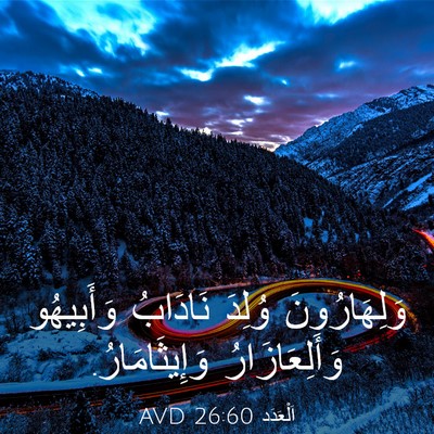 Picture 03 - اَلْعَدَد 26:60 AVD - وَلِهَارُونَ وُلِدَ - Bible Verse Picture