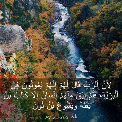 Picture 03 - اَلْعَدَد 26:65 AVD - لِأَنَّ ٱلرَّبَّ قَالَ - Bible Verse Picture