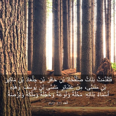 Picture 03 - اَلْعَدَد 27:1 AVD - فَتَقَدَّمَتْ بَنَاتُ - Bible Verse Picture