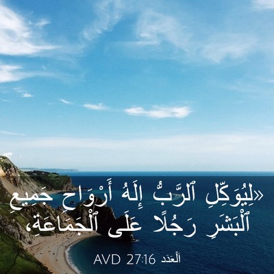 Picture 03 - اَلْعَدَد 27:16 AVD - «لِيُوَكِّلِ ٱلرَّبُّ - Bible Verse Picture