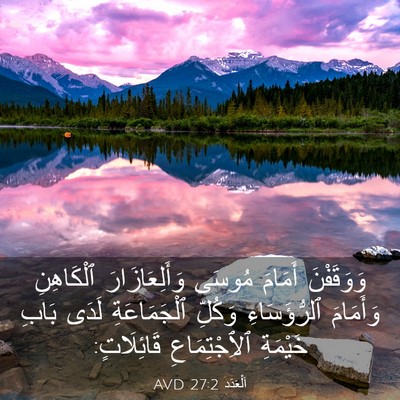 Picture 03 - اَلْعَدَد 27:2 AVD - وَوَقَفْنَ أَمَامَ مُوسَى - Bible Verse Picture