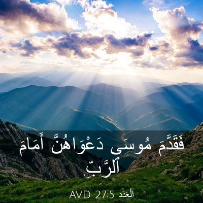 Picture 03 - اَلْعَدَد 27:5 AVD - فَقَدَّمَ مُوسَى - Bible Verse Picture
