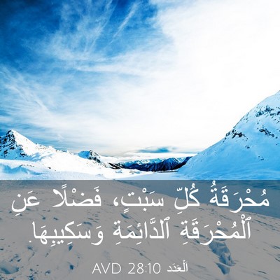 Picture 03 - اَلْعَدَد 28:10 AVD - مُحْرَقَةُ كُلِّ سَبْتٍ، - Bible Verse Picture