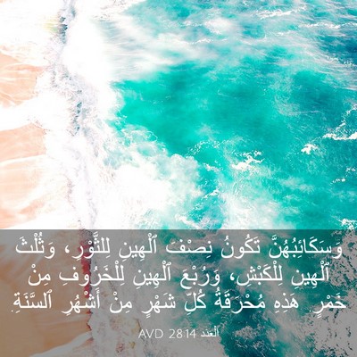 Picture 03 - اَلْعَدَد 28:14 AVD - وَسَكَائِبُهُنَّ تَكُونُ - Bible Verse Picture