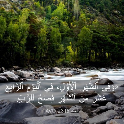 Picture 03 - اَلْعَدَد 28:16 AVD - «وَفِي ٱلشَّهْرِ - Bible Verse Picture