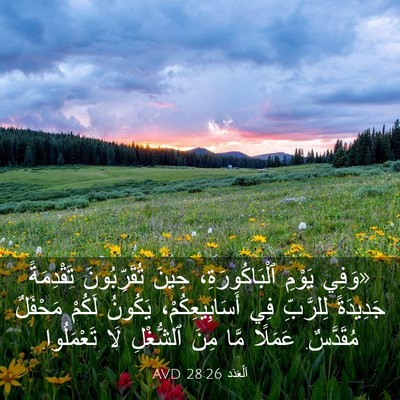 Picture 03 - اَلْعَدَد 28:26 AVD - «وَفِي يَوْمِ - Bible Verse Picture
