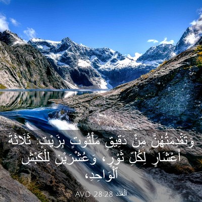 Picture 03 - اَلْعَدَد 28:28 AVD - وَتَقْدِمَتُهُنَّ مِنْ - Bible Verse Picture