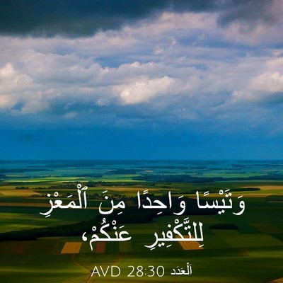 Picture 03 - اَلْعَدَد 28:30 AVD - وَتَيْسًا وَاحِدًا مِنَ - Bible Verse Picture
