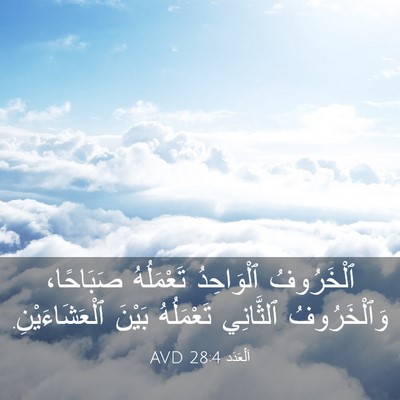 Picture 03 - اَلْعَدَد 28:4 AVD - ٱلْخَرُوفُ ٱلْوَاحِدُ - Bible Verse Picture