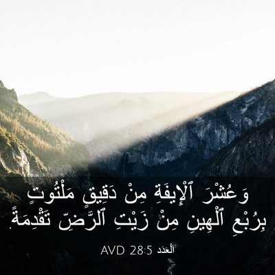 Picture 03 - اَلْعَدَد 28:5 AVD - وَعُشْرَ ٱلْإِيفَةِ مِنْ - Bible Verse Picture