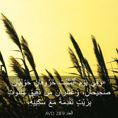 Picture 03 - اَلْعَدَد 28:9 AVD - «وَفِي يَوْمِ ٱلسَّبْتِ - Bible Verse Picture