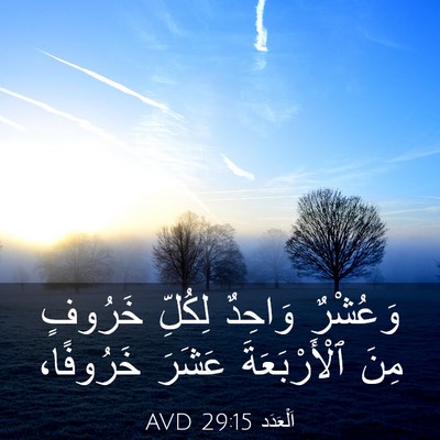 Picture 03 - اَلْعَدَد 29:15 AVD - وَعُشْرٌ وَاحِدٌ لِكُلِّ - Bible Verse Picture