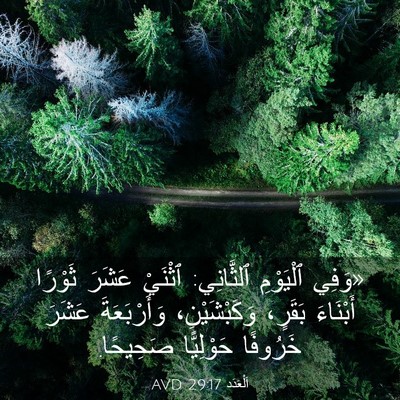 Picture 03 - اَلْعَدَد 29:17 AVD - «وَفِي ٱلْيَوْمِ - Bible Verse Picture