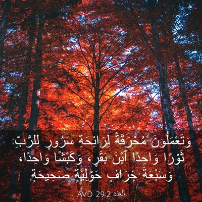 Picture 03 - اَلْعَدَد 29:2 AVD - وَتَعْمَلُونَ مُحْرَقَةً - Bible Verse Picture
