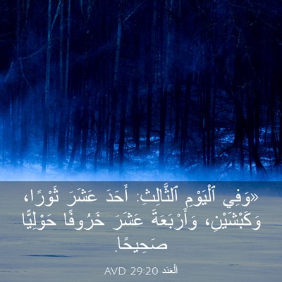 Picture 03 - اَلْعَدَد 29:20 AVD - «وَفِي ٱلْيَوْمِ - Bible Verse Picture
