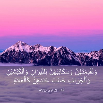 Picture 03 - اَلْعَدَد 29:21 AVD - وَتَقْدِمَتَهُنَّ - Bible Verse Picture