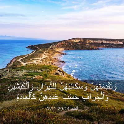 Picture 03 - اَلْعَدَد 29:24 AVD - وَتَقْدِمَتَهُنَّ - Bible Verse Picture