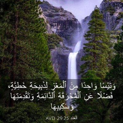 Picture 03 - اَلْعَدَد 29:25 AVD - وَتَيْسًا وَاحِدًا مِنَ - Bible Verse Picture