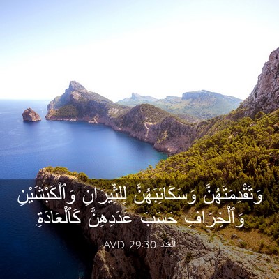 Picture 03 - اَلْعَدَد 29:30 AVD - وَتَقْدِمَتَهُنَّ - Bible Verse Picture