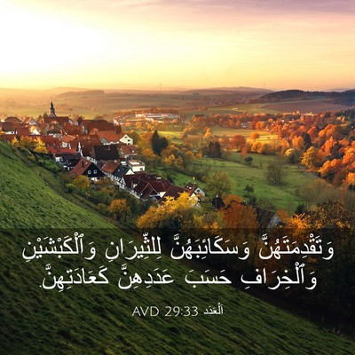 Picture 03 - اَلْعَدَد 29:33 AVD - وَتَقْدِمَتَهُنَّ - Bible Verse Picture