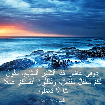 Picture 03 - اَلْعَدَد 29:7 AVD - «وَفِي عَاشِرِ هَذَا - Bible Verse Picture