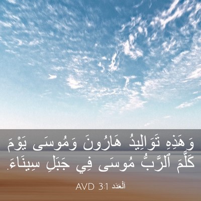Picture 03 - اَلْعَدَد 3:1 AVD - وَهَذِهِ تَوَالِيدُ - Bible Verse Picture