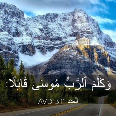 Picture 03 - اَلْعَدَد 3:11 AVD - وَكَلَّمَ ٱلرَّبُّ مُوسَى - Bible Verse Picture
