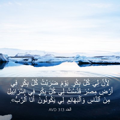 Picture 03 - اَلْعَدَد 3:13 AVD - لِأَنَّ لِي كُلَّ بِكْرٍ. - Bible Verse Picture