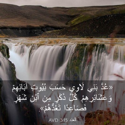 Picture 03 - اَلْعَدَد 3:15 AVD - «عُدَّ بَنِي لَاوِي حَسَبَ - Bible Verse Picture