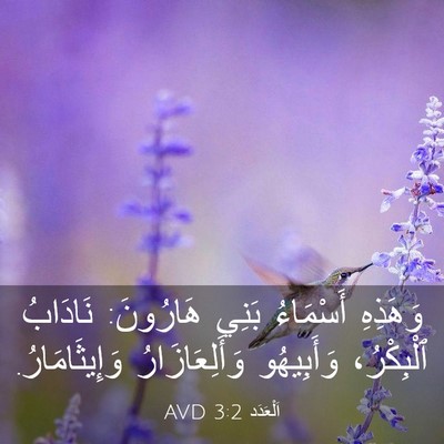 Picture 03 - اَلْعَدَد 3:2 AVD - وَهَذِهِ أَسْمَاءُ بَنِي - Bible Verse Picture