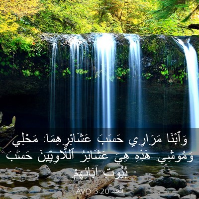 Picture 03 - اَلْعَدَد 3:20 AVD - وَٱبْنَا مَرَارِي حَسَبَ - Bible Verse Picture