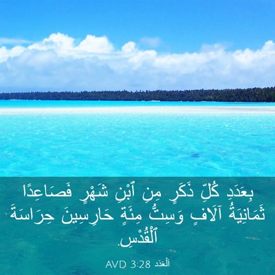 Picture 03 - اَلْعَدَد 3:28 AVD - بِعَدَدِ كُلِّ ذَكَرٍ مِنِ - Bible Verse Picture