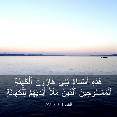 Picture 03 - اَلْعَدَد 3:3 AVD - هَذِهِ أَسْمَاءُ بَنِي - Bible Verse Picture