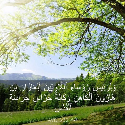 Picture 03 - اَلْعَدَد 3:32 AVD - وَلِرَئِيسِ رُؤَسَاءِ - Bible Verse Picture