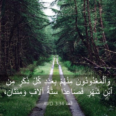 Picture 03 - اَلْعَدَد 3:34 AVD - وَٱلْمَعْدُودُونَ - Bible Verse Picture