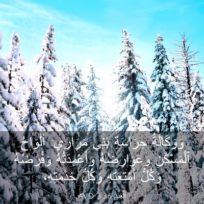 Picture 03 - اَلْعَدَد 3:36 AVD - وَوَكَالَةُ حِرَاسَةِ - Bible Verse Picture