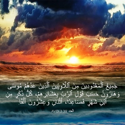 Picture 03 - اَلْعَدَد 3:39 AVD - جَمِيعُ ٱلْمَعْدُودِينَ - Bible Verse Picture