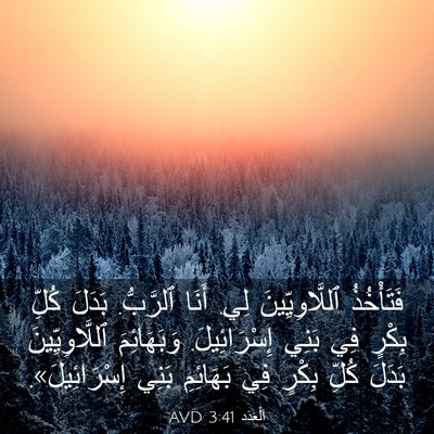 Picture 03 - اَلْعَدَد 3:41 AVD - فَتَأْخُذُ ٱللَّاوِيِّينَ - Bible Verse Picture