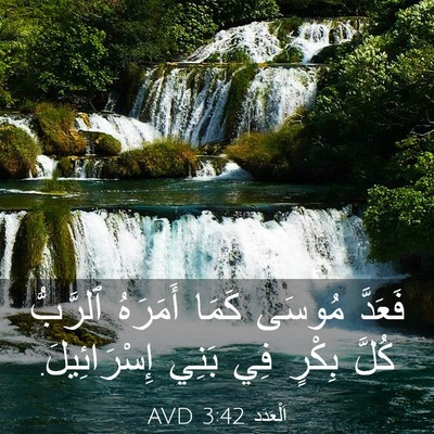 Picture 03 - اَلْعَدَد 3:42 AVD - فَعَدَّ مُوسَى كَمَا - Bible Verse Picture