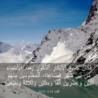Picture 03 - اَلْعَدَد 3:43 AVD - فَكَانَ جَمِيعُ - Bible Verse Picture