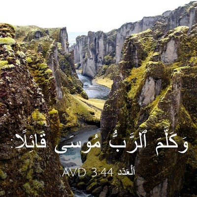 Picture 03 - اَلْعَدَد 3:44 AVD - وَكَلَّمَ ٱلرَّبُّ مُوسَى - Bible Verse Picture
