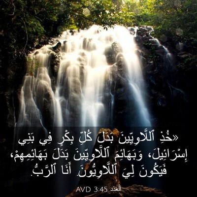 Picture 03 - اَلْعَدَد 3:45 AVD - «خُذِ ٱللَّاوِيِّينَ - Bible Verse Picture